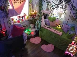 voyeurcam-veccasalt-01 webcam