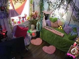 voyeurcam veccasalt 01