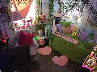 voyeurcam-veccasalt-01 webcam