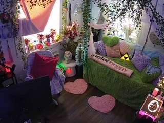 voyeurcam-veccasalt-01 webcam