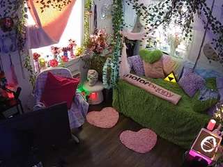 voyeurcam-veccasalt-01 webcam