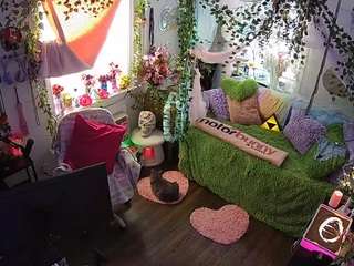 voyeurcam-veccasalt-01 webcam