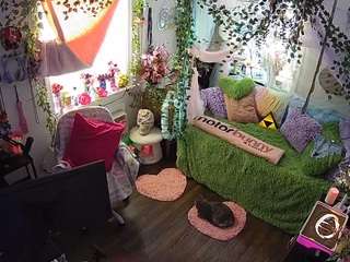 voyeurcam-veccasalt-01 camsoda