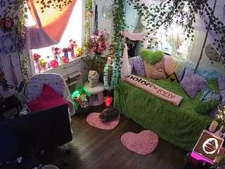 voyeurcam-veccasalt-01 webcam