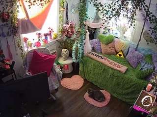 voyeurcam-veccasalt-01 webcam