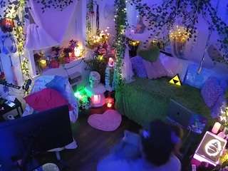 voyeurcam-veccasalt-01 webcam