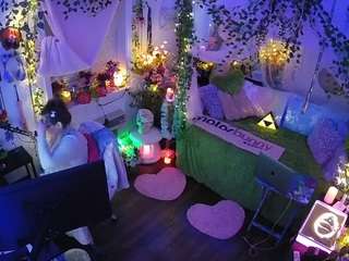 voyeurcam-veccasalt-01 webcam