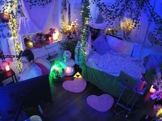 voyeurcam-veccasalt-01 webcam