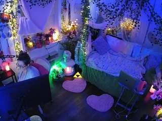 voyeurcam-veccasalt-01 webcam