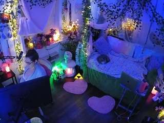 voyeurcam-veccasalt-01 webcam