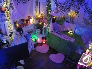 voyeurcam-veccasalt-01 webcam