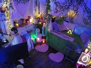 voyeurcam-veccasalt-01 webcam