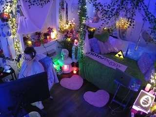 voyeurcam-veccasalt-01 webcam