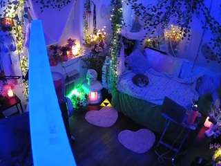 voyeurcam-veccasalt-01 webcam