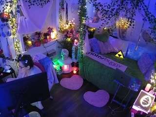 voyeurcam-veccasalt-01 webcam