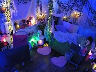 voyeurcam-veccasalt-01 webcam