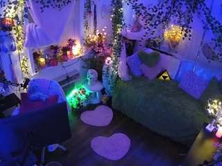 voyeurcam-veccasalt-01 webcam