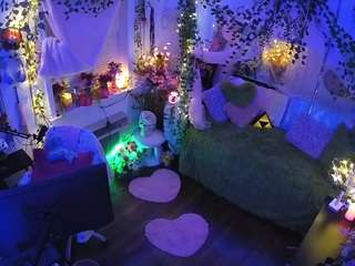 voyeurcam-veccasalt-01 webcam