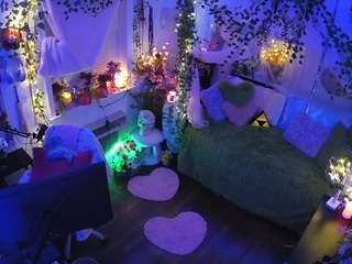 voyeurcam-veccasalt-01 webcam