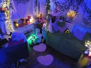 voyeurcam-veccasalt-01 webcam