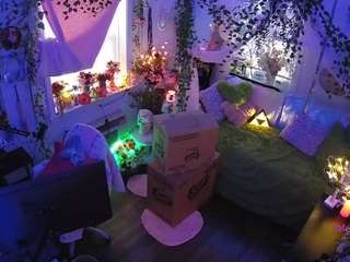 voyeurcam veccasalt 01