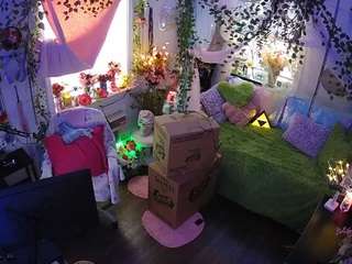 voyeurcam-veccasalt-01