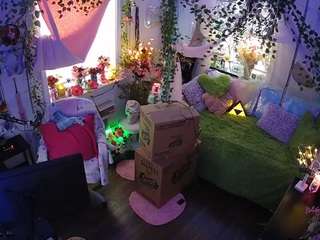 voyeurcam-veccasalt-01