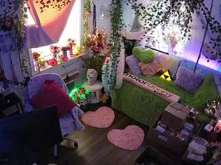 voyeurcam-veccasalt-01