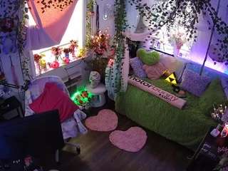 voyeurcam-veccasalt-01