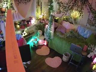 voyeurcam-veccasalt-01 webcam