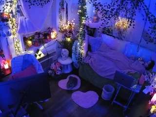 voyeurcam-veccasalt-01 webcam