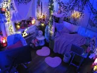 voyeurcam-veccasalt-01 webcam