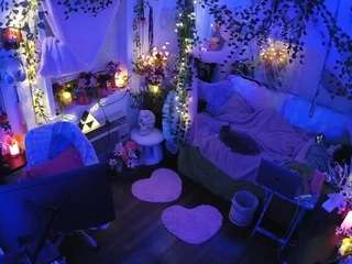 voyeurcam-veccasalt-01 webcam