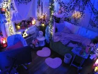 voyeurcam-veccasalt-01 webcam