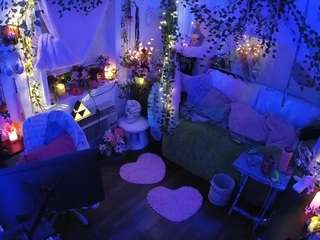 voyeurcam-veccasalt-01 webcam