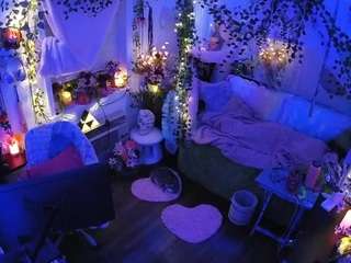 voyeurcam-veccasalt-01 webcam