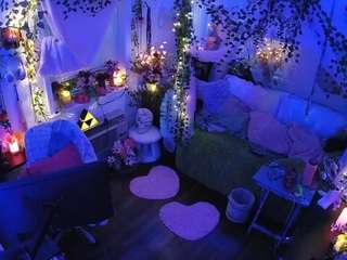 voyeurcam-veccasalt-01 webcam