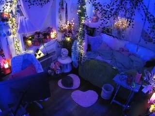 voyeurcam-veccasalt-01