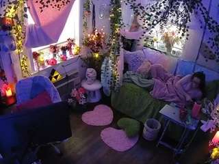 voyeurcam-veccasalt-01