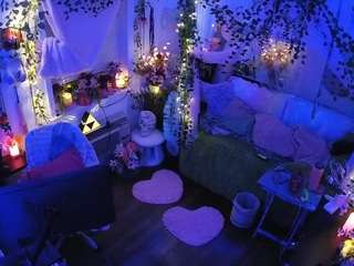 voyeurcam-veccasalt-01 webcam