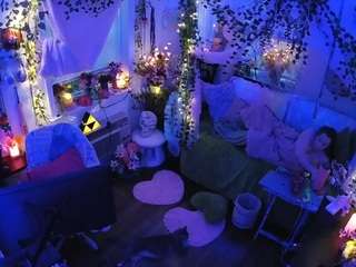 voyeurcam-veccasalt-01 webcam