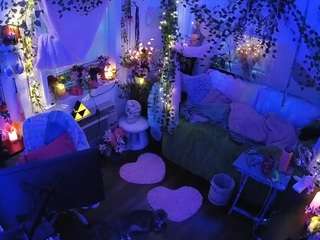 voyeurcam-veccasalt-01 webcam