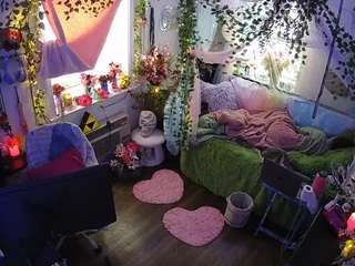 voyeurcam-veccasalt-01