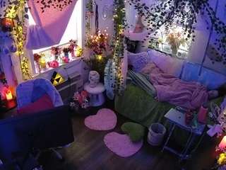 voyeurcam-veccasalt-01 webcam