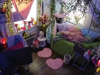 voyeurcam-veccasalt-01 webcam