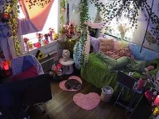 voyeurcam-veccasalt-01 webcam