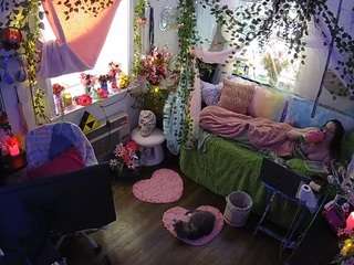 voyeurcam veccasalt 01