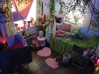 voyeurcam-veccasalt-01 webcam