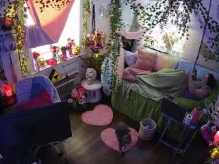 voyeurcam-veccasalt-01 webcam