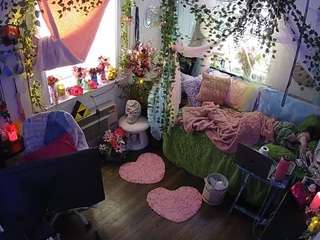 voyeurcam veccasalt 01